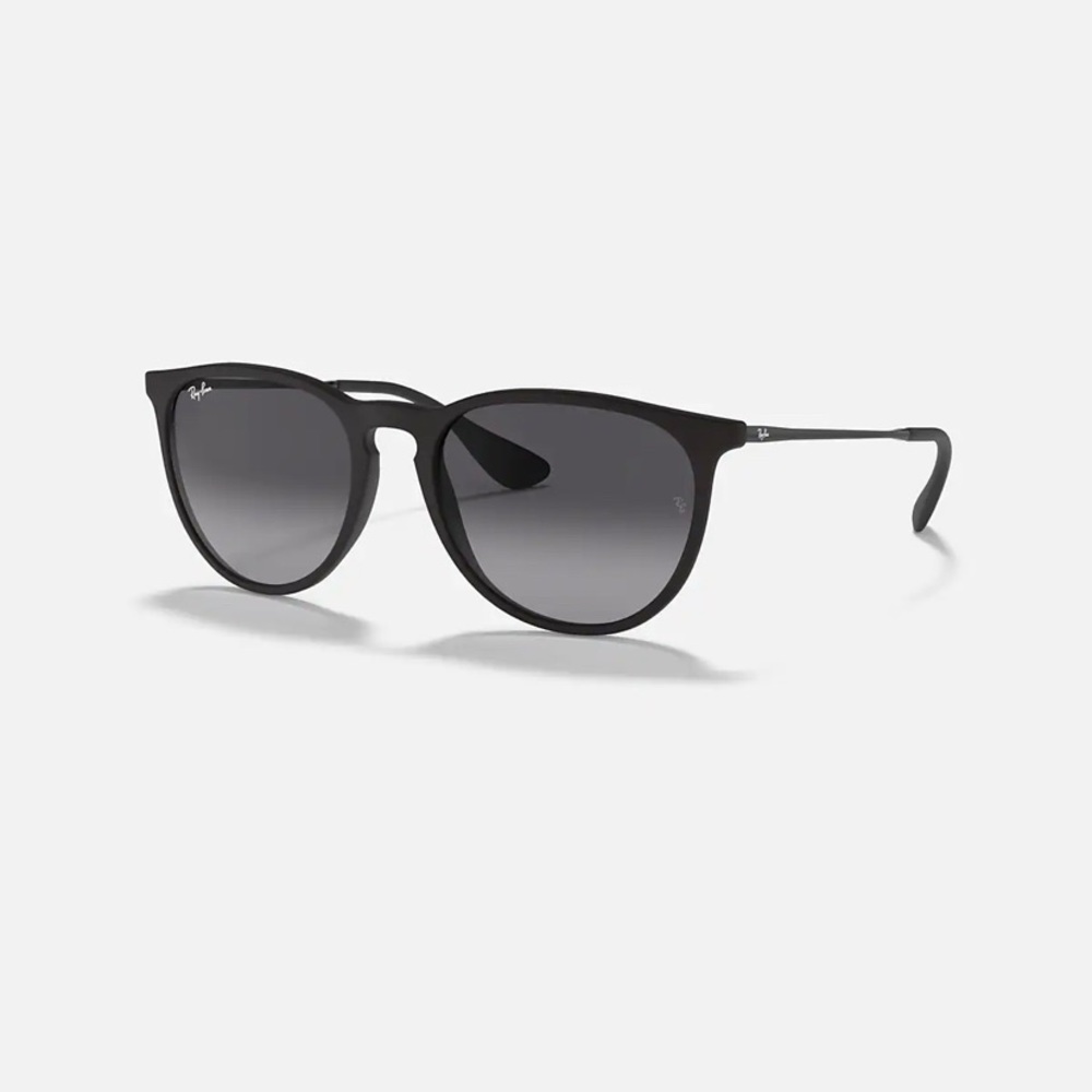 Rayban Erika sunglasses
